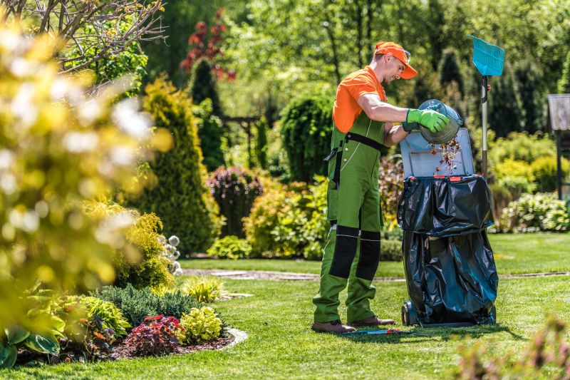 Yard Clean Up