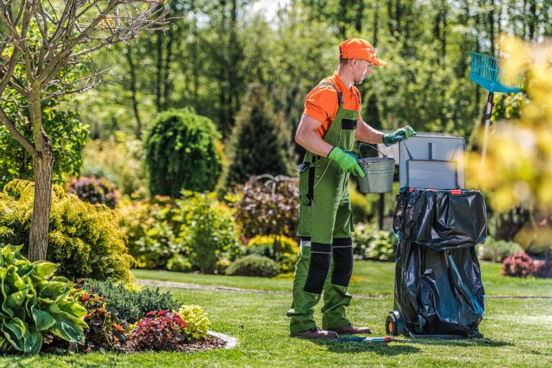 Yard Clean Up