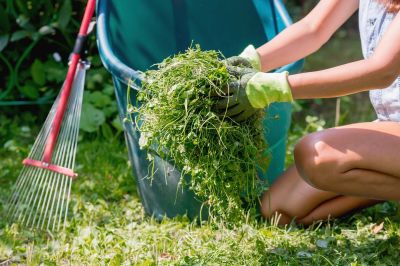 Yard Clean Up