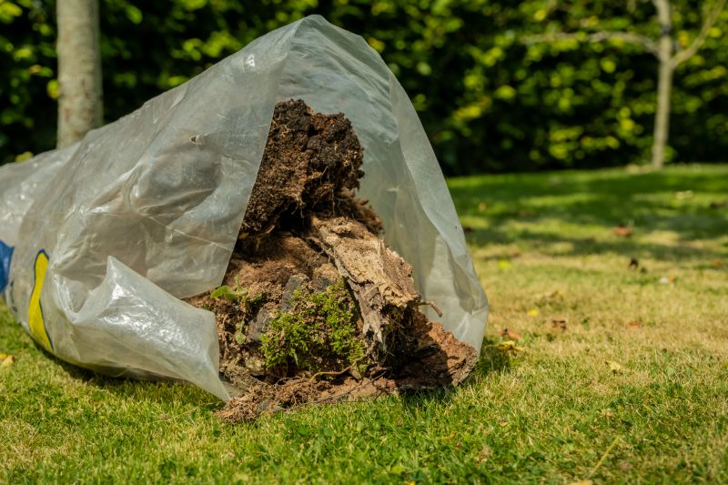 Leaf Cleanup Service in Honolulu, HI