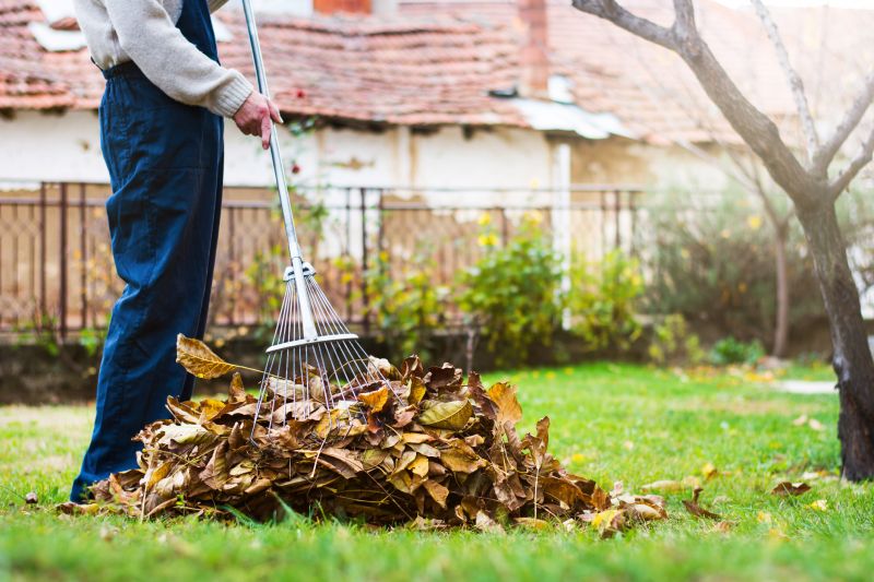 Leaves Vacuuming in Honolulu, HI