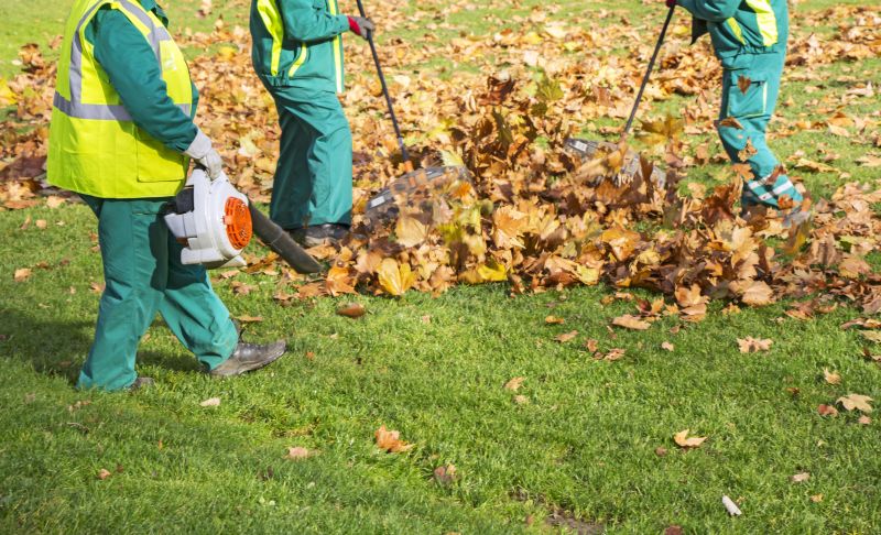 Seasonal Lawn Maintenance in Ventura County, CA
