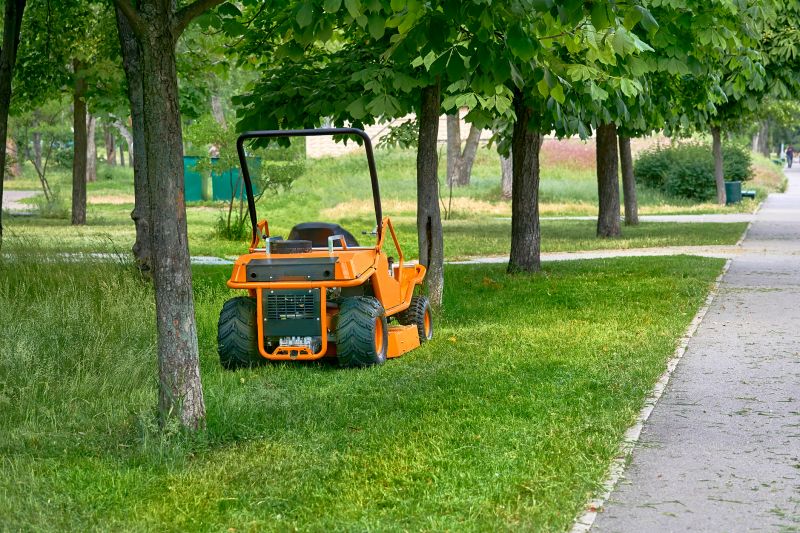 Spring Lawn Cleanup in Honolulu, HI