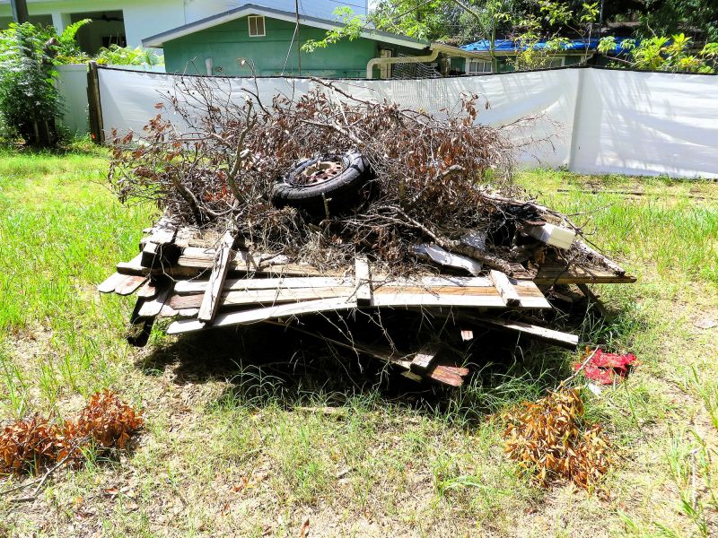 Wood Pile Removal in Honolulu, HI