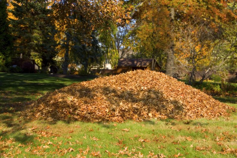 Leaf Removal in Autumn