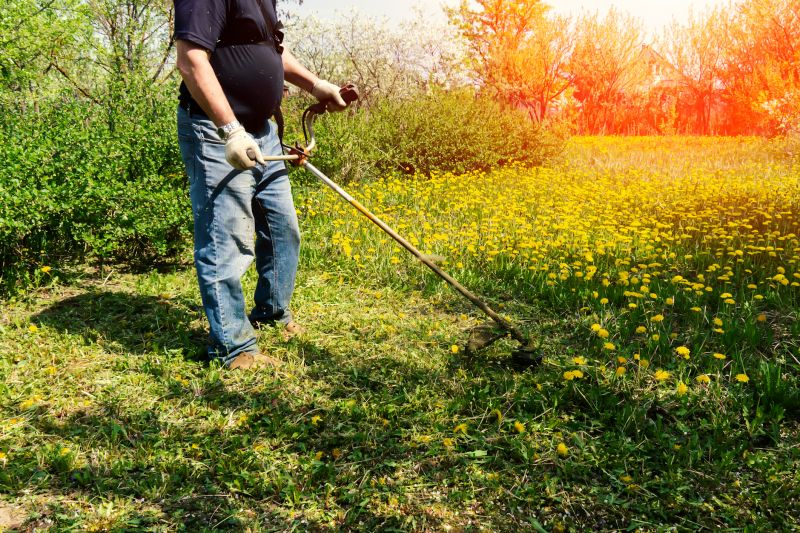 Yard Cleanup Service in Ventura County, CA