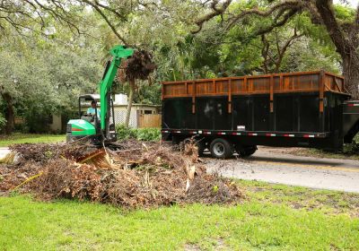 Brush Pile Removal Services