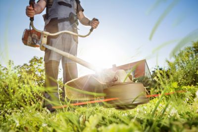 Lawn Trimming